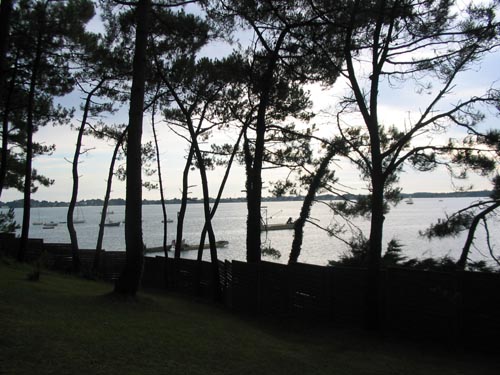 Photo 009