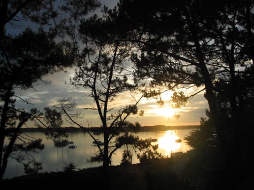 Photo 033