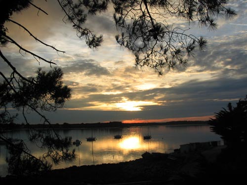 Photo 041