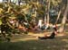 040731_Bretagne_Francois_Cinquante106