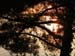 040731_Bretagne_Francois_Cinquante115