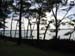 Photo 009