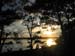 Photo 033